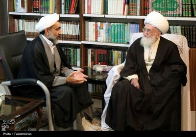  تشکر آیت‌الله نوری همدانی از حضور ارزشمند مردم در تجمعات خیابان - تسنیم