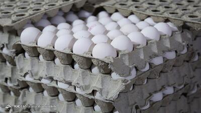  اجازه افزایش قیمت نامتعارف مرغ، تخم‌مرغ و لبنیات در تهران داده نمی‌شود