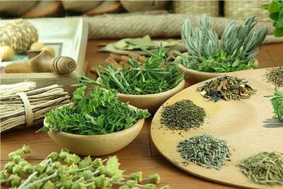  حرکت در مسیر نفوذ فناوری در صنعت گیاهان دارویی