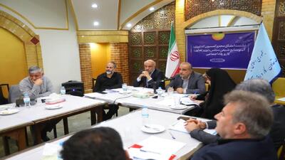  طرح حذف واسطه‌ها در توزیع محصولات کشاورزی با محوریت وزارت رفاه آغاز شد