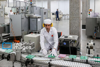  تسهیلات 44 میلیون تومانی برای بنگاه‌های کوچک و متوسط/اعلام مدت زمان بازپرداخت و میزان سود