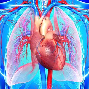  آلودگی صوتی شبانه تهدیدی برای سلامت قلب