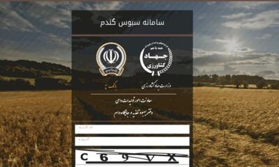  فروش سبوس بدون قیمت گذاری دستوری در سامانه سبوس انجام می شود