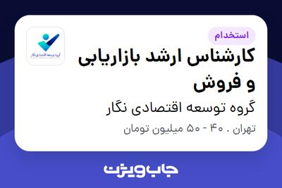  استخدام کارشناس ارشد بازاریابی و فروش در گروه توسعه اقتصادی نگار