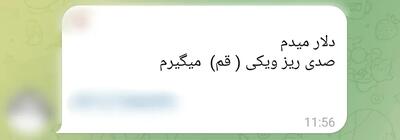  شکل‌گیری نرخ سوم در بازار غیررسمی؛ جزئیات معاملات «دلار تراولی» با ایران‌چک‌های جدید