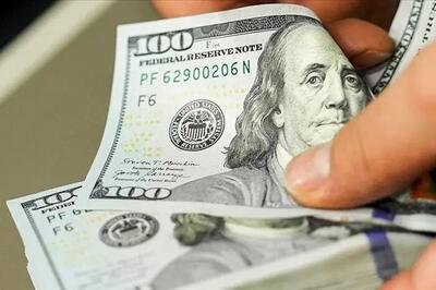  نرخ رسمی دلار، یورو و انواع ارزها امروز ۱۷ اردیبهشت ۱۴۰۵/ دلار باز هم گران شد