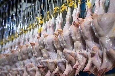  جدول قیمت مرغ امروز پنجشنبه ۱۷ اردیبهشت ماه ۱۴۰۵