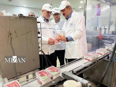  بازدید رئیس‌کل دادگستری همدان از ۲ واحد تولیدی راهبردی