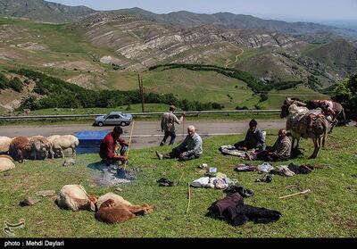  جشنواره کوچ عشایر استانی برگزار می شود - تسنیم