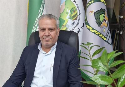  سمنان سبزتر می‌شود؛ بازپس‌گیری 77 هکتار زمین ملی و جهش تولید نهال - تسنیم