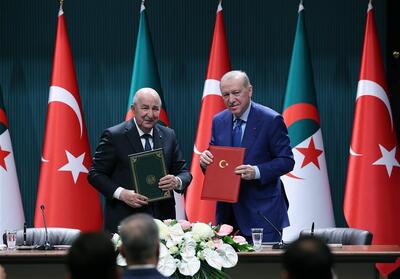  اردوغان: ترکیه و الجزایر روابط خود بخصوص در حوزه گاز را افزایش می‌دهند - تسنیم