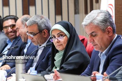  وزیر راه و شهرسازی: دسترسی زائران به حرم امام رضا (ع) سهل‌تر شد