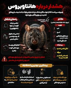  اینفوتابناک/ هشدار هانتا ویروس
