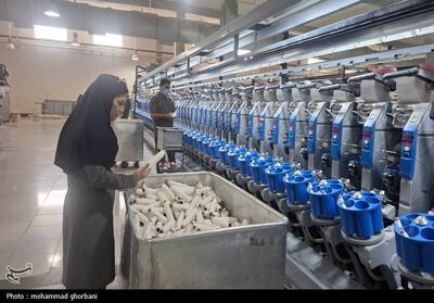  احیای اشتغال؛ اولویت راهبردی بازسازی اقتصادی - تسنیم