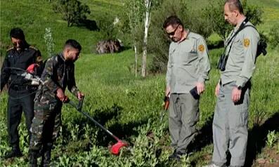  معدوم سازی ۲۲۰۰ متر مربع مزرعه خشخاش در پناهگاه حیات‌وحش بیستون