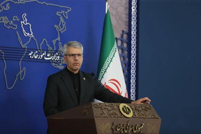  بقائی: مدیرکل آژانس انرژی اتمی، دست از سیاسی کاری بردارد
