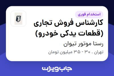  استخدام کارشناس فروش تجاری (قطعات یدکی خودرو) در رستا موتور تیوان