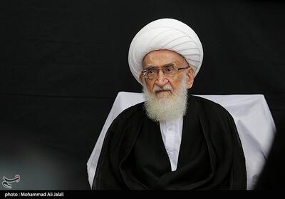  آیت‌الله نوری همدانی: مسلمانان از مردم لبنان و حزب‌الله حمایت کنند - تسنیم