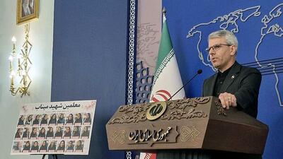  بقائی: ایران قدرتی قلدرستیز است/ پیشنهاد ایران به آمریکا، معقول و مسئولانه بود