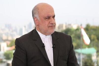  امانی:تفکر ولایی شهیدنصرالله سبب هم‌گرایی طوایف مختلف در برابر دشمن شد