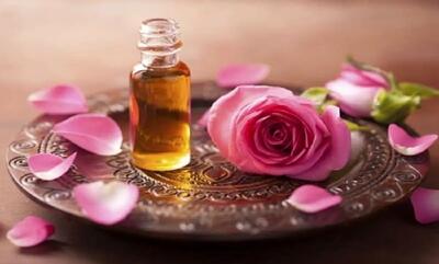  طرز تهیه روغن گل محمدی+ کاردبرهای آن