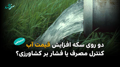  نسخه جدید قیمت آب،  راهکار مدیریت مصرف یا تهدیدی برای کشاورزی؟
