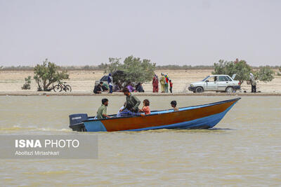 حالِ خوبِ «هامون»