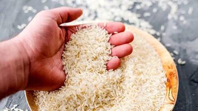  اعلام قیمت جدید برنج ایرانی در بازار/رییس اتاق اصناف اعلام کرد