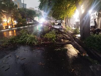  اورژانس: طوفان در تهران چهار مصدوم بر جا گذاشت