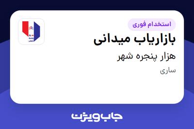  استخدام بازاریاب میدانی در هزار پنجره شهر