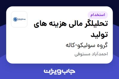  استخدام تحلیلگر مالی هزینه های تولید - آقا در گروه سولیکو-کاله