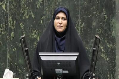  حمایت فراکسیون زنان مجلس از توانمندسازی مددجویان بهزیستی