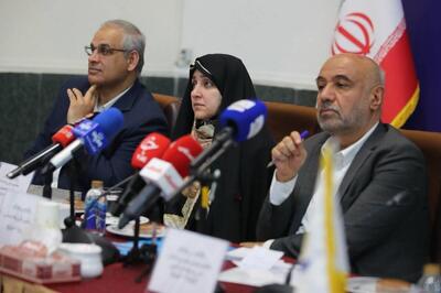  میدری: توسعه بازار مشاغل خانگی و تولید خانواده محور شتاب می‌گیرد