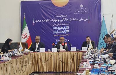  معاون امور زنان رئیس جمهور: توسعه کسب‌وکارهای خانگی بدون دسترسی به اینترنت امکان‌پذیر نیست - پیوست