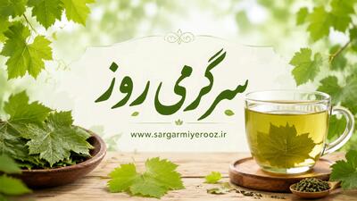  تا فصلش هست امتحان کن | دمنوش برگ مو؛ نوشیدنی گیاهی متفاوت با خواص آرام‌بخش