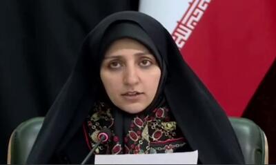  بهروز آذر: همه مشاغل خانگی مشکل دسترسی مالی دارند/ در سال اقتصاد مقاومتی نمی‌توانیم ۴۰ میلیون زن را نادیده بگیریم+ فیلم