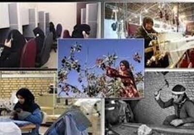  فعالیت 93 صندوق خرد زنان روستایی در مازندران - تسنیم
