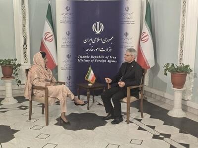  آمریکا و اسرائیل باید بابت اوضاع در تنگه هرمز به جامعه جهانی پاسخ بدهند/ روابط تهران با سایر کشور‌ها علیه هند نیست