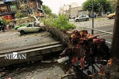  مصدومیت ۱۷ نفر در پی وزش باد شدید در استان تهران