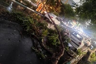  طوفان تهران ۷ مصدوم به جای گذاشت