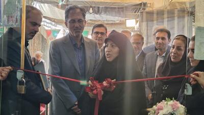  مشاغل خانگی، خانواده‌محور و نقطه اتصال اقتصاد و حراست از خانواده