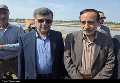  افزایش بهره‌وری آب، هدف طرح‌های نوسازی اراضی در شمال کشور - تسنیم