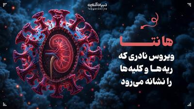  هانتا؛ ویروس نادری که ریه‌ها و کلیه‌ها را نشانه می‌رود