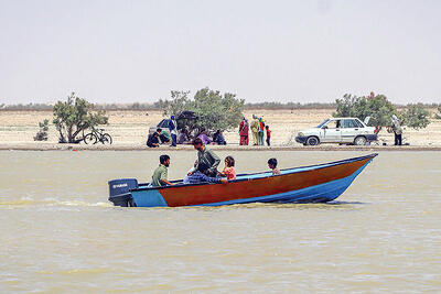  حالِ خوبِ «هامون»