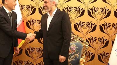  سفیر ژاپن در ایران به دیدار مدنی‌زاده رفت