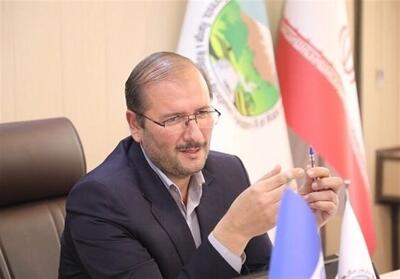  کنترل کانون‌های بحرانی بیابان با توسعه جنگل‌کاری و مشارکت مردمی - تسنیم