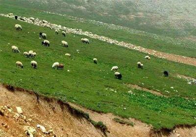  حفاظت از مراتع بدون مشارکت مردم ممکن نیست - تسنیم