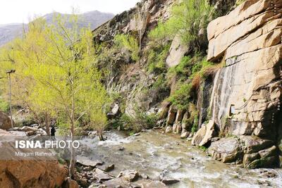  طبیعت بهاری گنج نامه همدان
