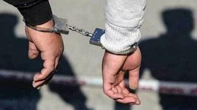  دستگیری فردی که رسانه‌های معاند او را کشته اعلام کرده بودند