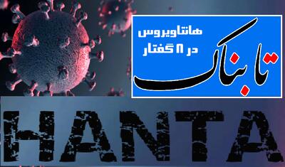  پکیج ویژه تابناک درباره هانتاویروس/ تاثیرات، اسرار و پشت پرده های یک ویروس خبرساز/ فیلم